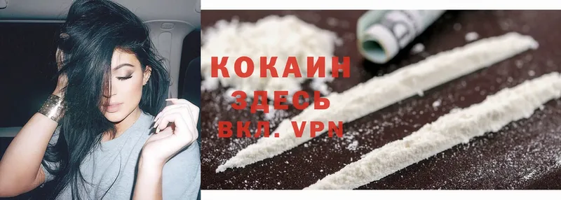 купить   Козьмодемьянск  Cocaine Боливия 